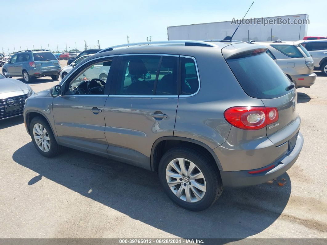 2010 Volkswagen Tiguan Se Gray vin: WVGBV9AX5AW500708