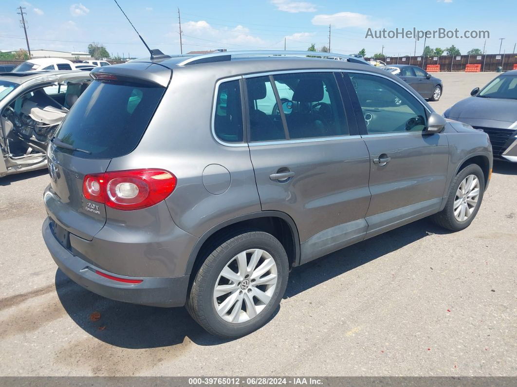 2010 Volkswagen Tiguan Se Gray vin: WVGBV9AX5AW500708