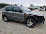 2010 Volkswagen Tiguan Se Gray vin: WVGBV9AX7AW510155