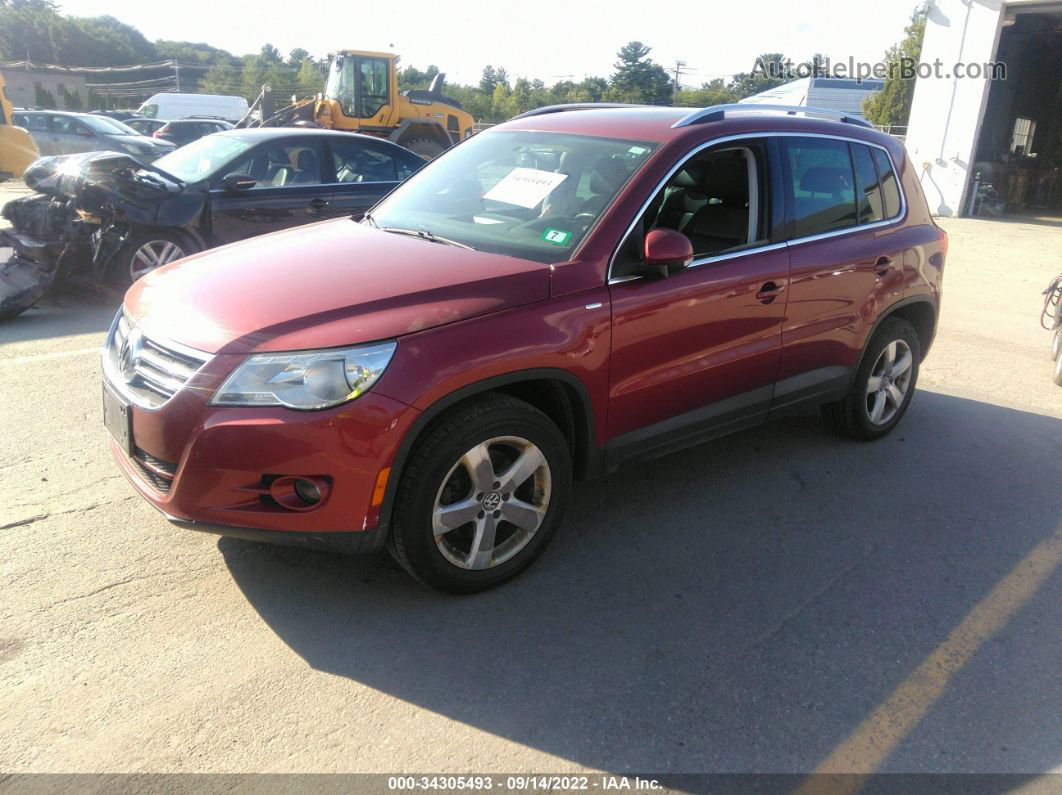 2010 Volkswagen Tiguan Wolfsburg Edition Красный vin: WVGBV9AX8AW003748