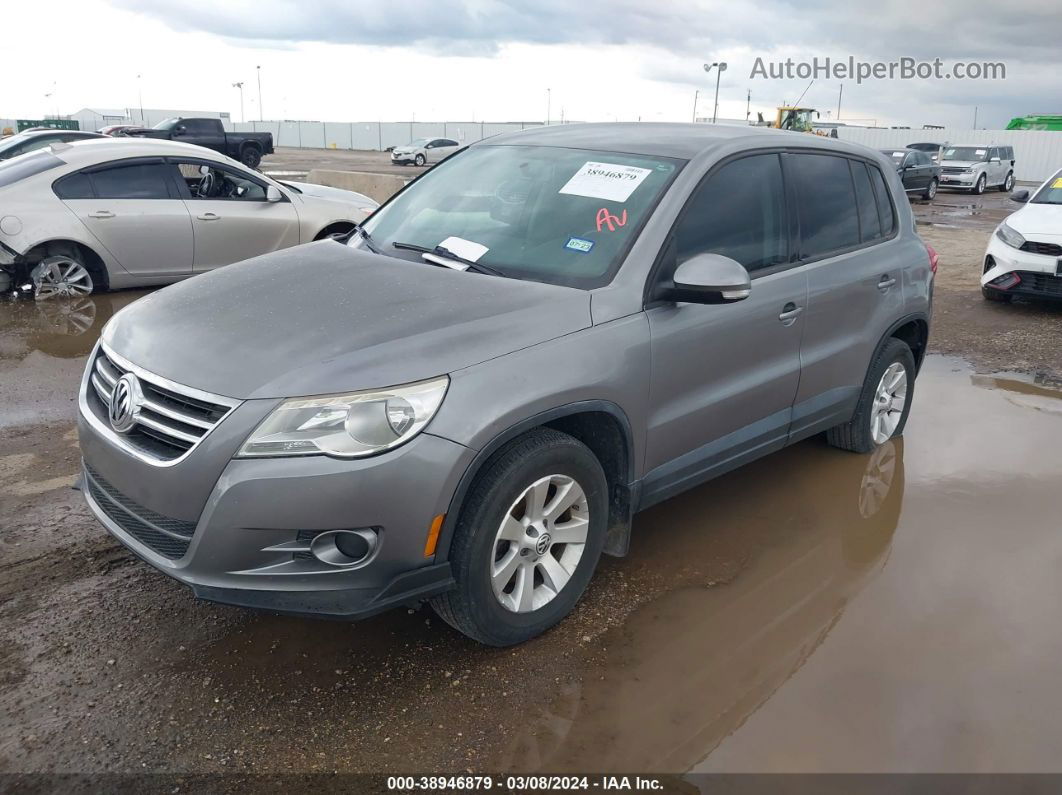 2010 Volkswagen Tiguan S Gray vin: WVGCV7AX8AW000132