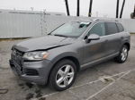 2014 Volkswagen Touareg V6 Серый vin: WVGEF9BP1ED012043