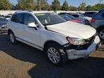 2014 Volkswagen Touareg V6 White vin: WVGEF9BP7ED012144