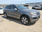 2013 Volkswagen Touareg V6 Серый vin: WVGEF9BP8DD003872