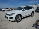 2014 Volkswagen Touareg V6 Белый vin: WVGEF9BP8ED007339