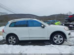 2014 Volkswagen Touareg 3.6l Lux White vin: WVGEF9BP8ED013173