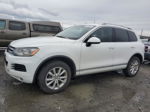 2013 Volkswagen Touareg V6 Белый vin: WVGEF9BP9DD009695