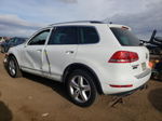 2013 Volkswagen Touareg V6 White vin: WVGEF9BP9DD013004