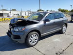 2014 Volkswagen Touareg V6 Gray vin: WVGEF9BP9ED012307