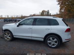 2012 Volkswagen Touareg Lux Белый vin: WVGEK9BP2CD007880