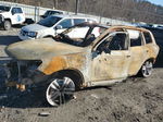 2013 Volkswagen Touareg V6 Tdi Burn vin: WVGEP9BP1DD000874