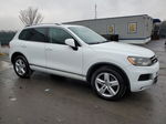 2013 Volkswagen Touareg V6 Tdi Белый vin: WVGEP9BP1DD002706