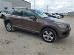 2013 Volkswagen Touareg V6 Tdi Brown vin: WVGEP9BP1DD007811