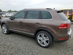 2014 Volkswagen Touareg V6 Tdi Brown vin: WVGEP9BP2ED006765