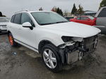 2013 Volkswagen Touareg V6 Tdi White vin: WVGEP9BP5DD001042