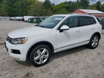 2013 Volkswagen Touareg V6 Tdi White vin: WVGEP9BP7DD003097