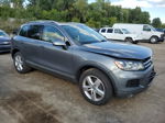 2013 Volkswagen Touareg V6 Tdi Белый vin: WVGEP9BP8DD010589