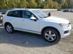 2014 Volkswagen Touareg V6 Tdi White vin: WVGEP9BP9ED005547