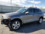 2012 Volkswagen Touareg V6 Gray vin: WVGFF9BPXCD003861