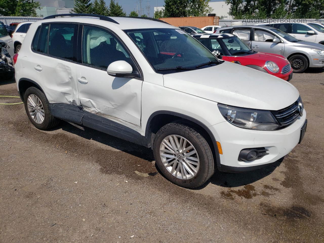 2016 Volkswagen Tiguan Comfortline Белый vin: WVGJV7AX2GW611824