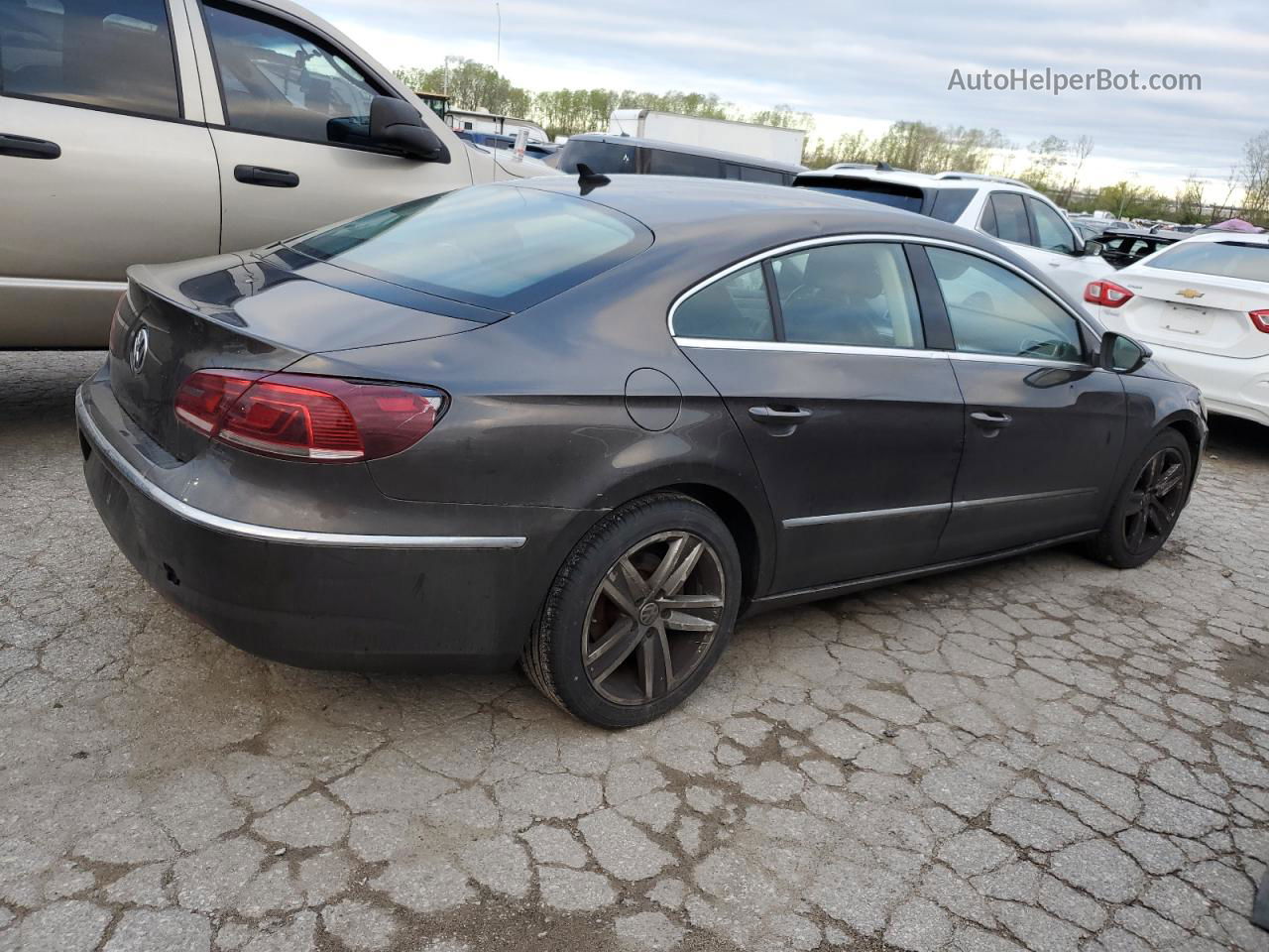 2013 Volkswagen Cc Sport Brown vin: WVWBN7AN2DE510615