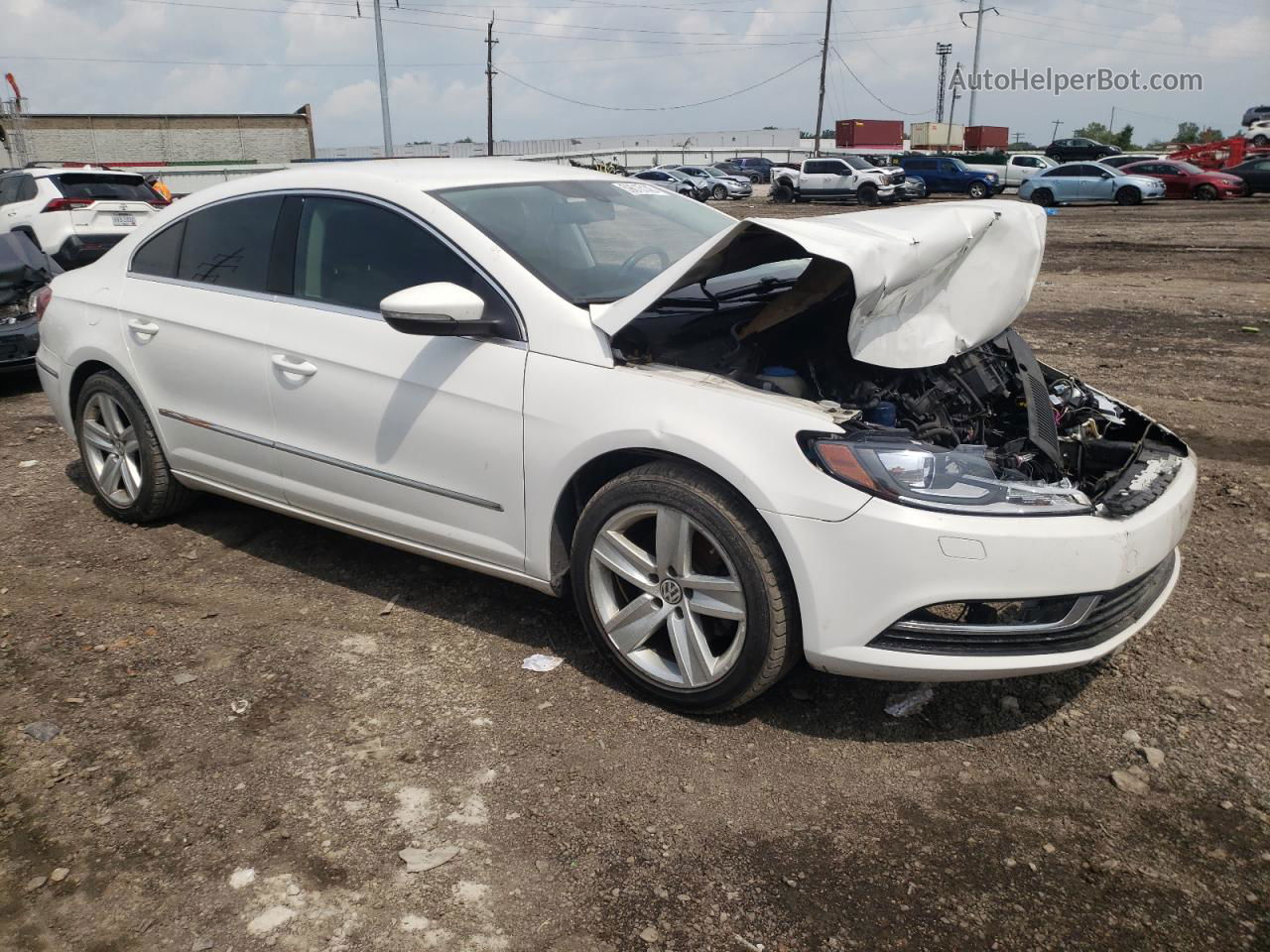 2013 Volkswagen Cc Sport White vin: WVWBN7AN2DE540147