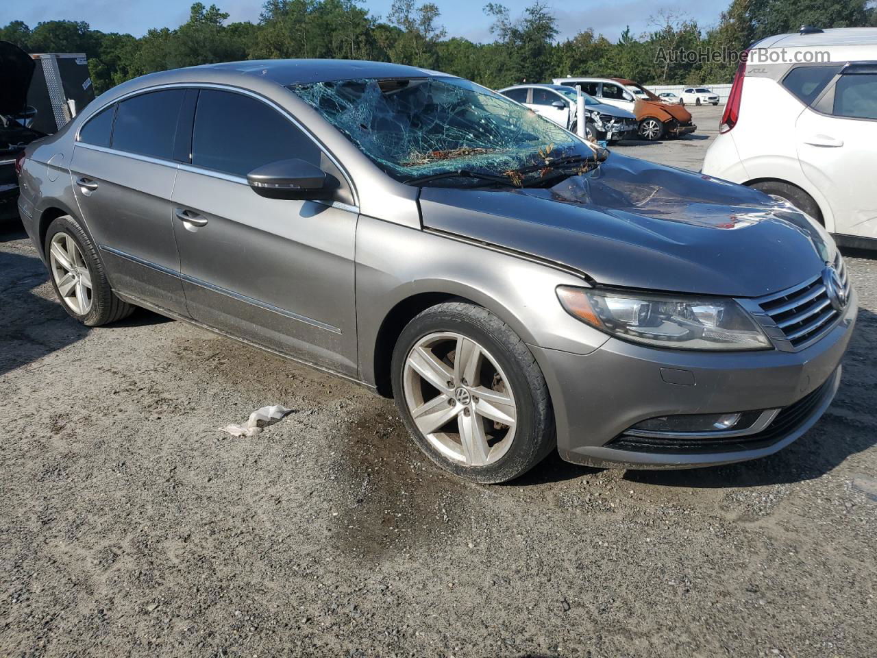 2014 Volkswagen Cc Sport Silver vin: WVWBN7AN6EE530738