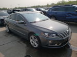 2016 Volkswagen Cc Base Серый vin: WVWBN7AN6GE500660