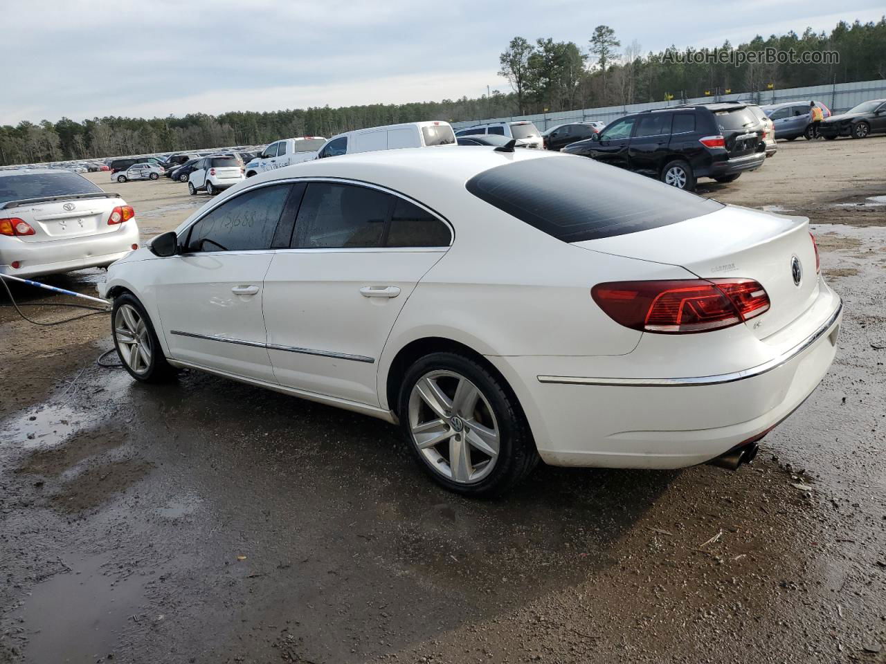 2013 Volkswagen Cc Sport White vin: WVWBP7AN7DE561294