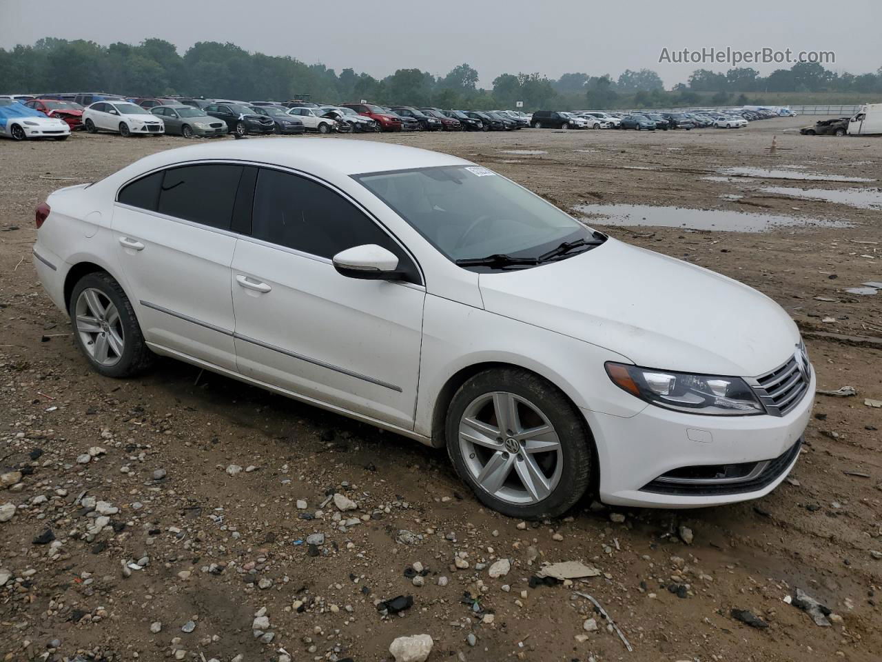 2014 Volkswagen Cc Sport White vin: WVWBP7AN7EE531035