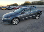 2013 Volkswagen Cc Sport Gray vin: WVWBP7AN8DE566522