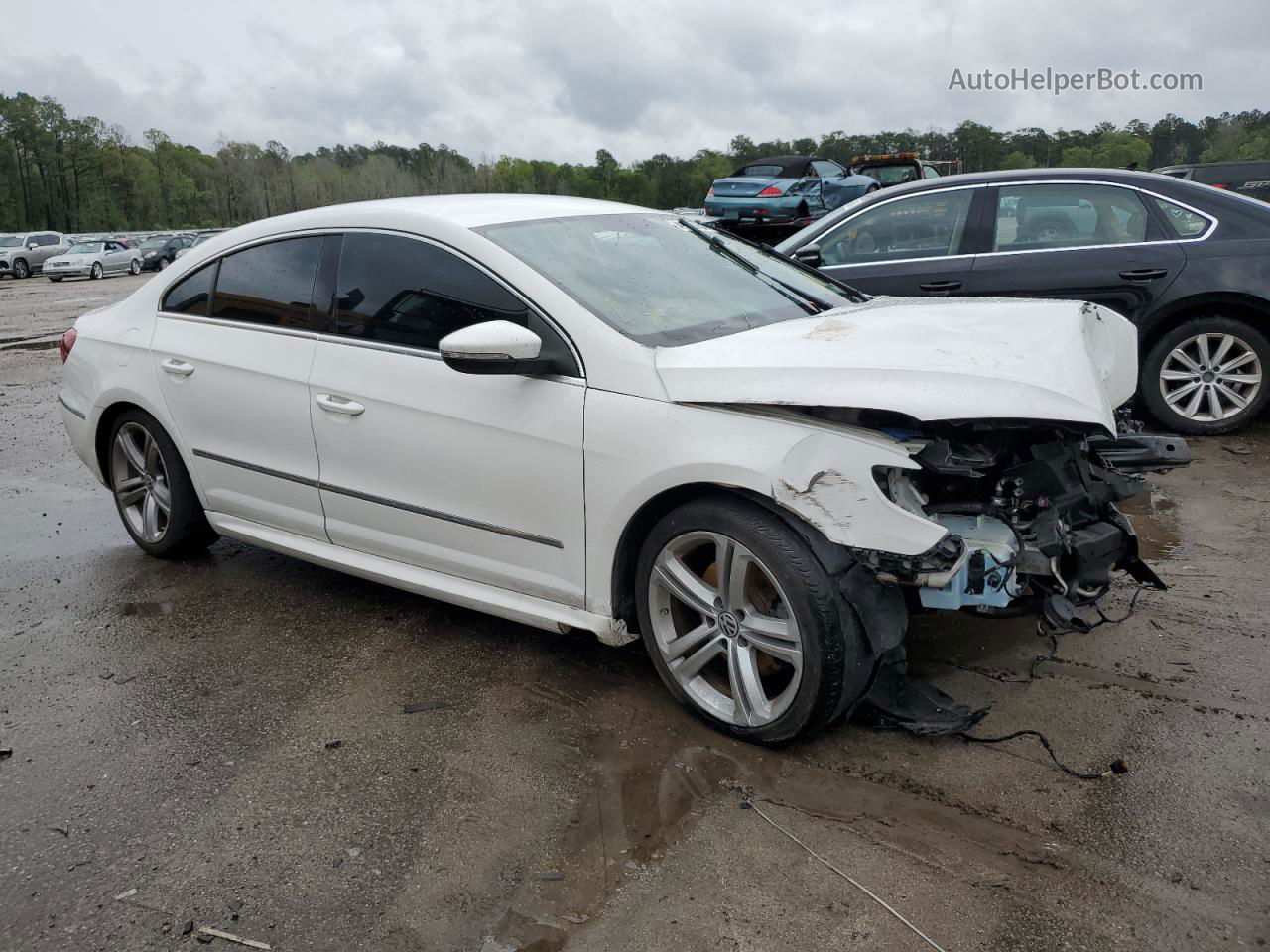 2013 Volkswagen Cc Sport Белый vin: WVWBP7AN8DE571509