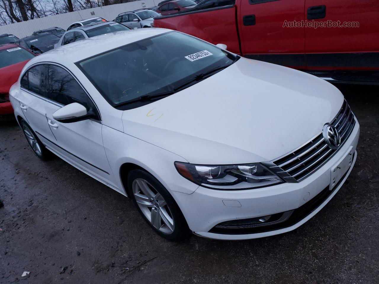 2014 Volkswagen Cc Sport Белый vin: WVWBP7AN8EE526278