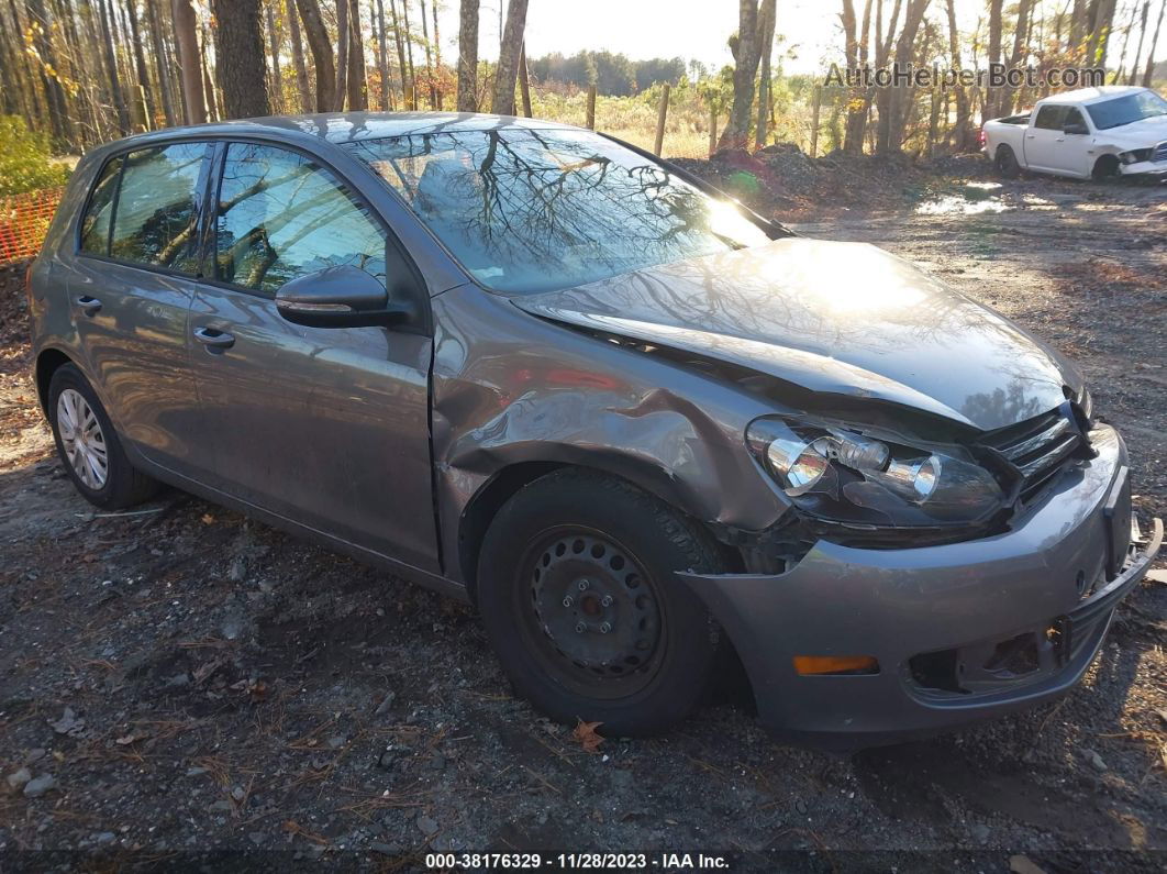 2014 Volkswagen Golf 2.5l Gray vin: WVWDB7AJ3EW003054