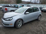 2014 Volkswagen Golf  Silver vin: WVWDB7AJ3EW010909