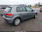 2014 Volkswagen Golf 2.5l Gray vin: WVWDB7AJ9EW011885