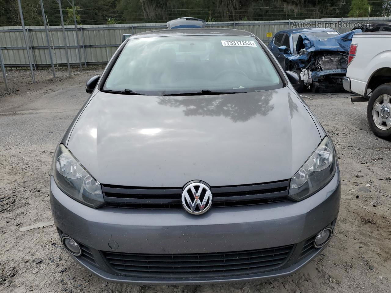 2014 Volkswagen Golf  Gray vin: WVWDM7AJ1EW010594