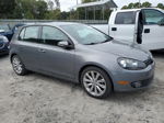 2014 Volkswagen Golf  Gray vin: WVWDM7AJ1EW010594