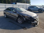 2012 Volkswagen Cc Sport Gray vin: WVWMP7AN1CE514401