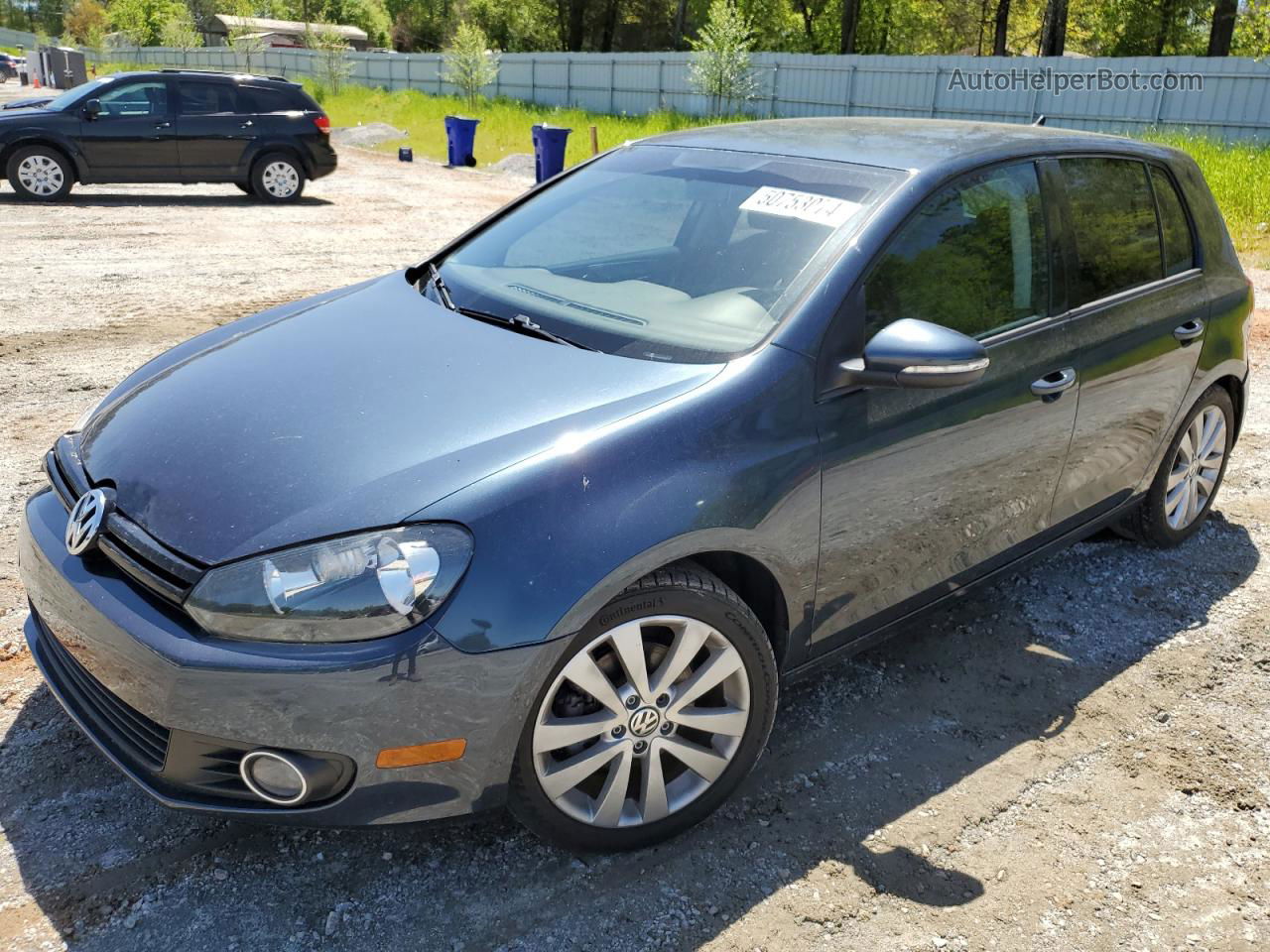 2014 Volkswagen Golf  Blue vin: WVWNM7AJ6EW005153