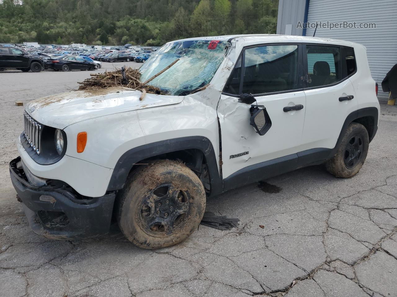 2015 Jeep Renegade Sport Белый vin: ZACCJBAT6FPC24987