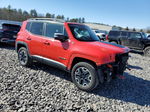 2015 Jeep Renegade Trailhawk Красный vin: ZACCJBCT4FPB44245