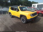 2015 Jeep Renegade Trailhawk Желтый vin: ZACCJBCT9FPC01636